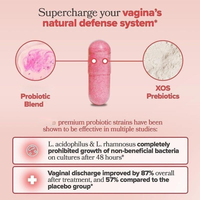 Capsules de probiotiques vaginaux végétaliens de marque privée Capsules de probiotiques pour la santé vaginale pour les femmes