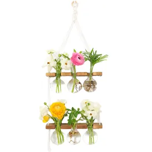 2-Tiered Wooden Rack Wall Hanging Terrarium Hydroponic Plant Flower Device Planter with TestTube for Indoor Gardening