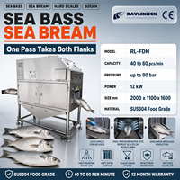 Pisciculture Machine à Écailler le Poisson Acier Inox Alimentaire Doubles Portes Lavables pour Loup de Mer Retrait des Écailles