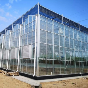 10000 m2 commercial agricole/serre en verre <span class=keywords><strong>à</strong></span> travées multiples pour tomates/concombres/poivrons/fraises avec système hydroponique - Product Image 4