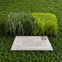 Langlebiger Monofilament-Fußballrasen 12000-16000 Dtex Kunstrasen-Teppich für Outdoor-Sportstadien und Fußballplätze