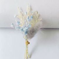 Boho Set Mini Bouquet de Fleurs Séchées Naturelles Fleurs Préservées pour la Table Décoration de Mariage Boîte aux Lettres Cadeaux