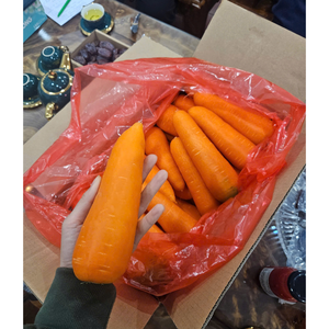 Carotte Équipe Professionnelle Carotte Conventionnelle Légumes Frais Service Après-Vente Agricole En Produit Vietnamien En Gros - Product Image 1