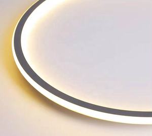 Lámpara de techo LED minimalista moderna ultrafina para dormitorio, sala de libros, pasillo, balcón, cubierta acrílica y base de hierro - Product Image 6