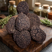 Truffe d'été séchée WILD TARTUFO Lucano Fresco, cultivée en forêt, de qualité supérieure, champignon noir entier, biologique, fabriqué en Italie, NORCINERIA