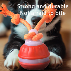 <span class=keywords><strong>2026</strong></span> Nieuw Ontwerp 360 °   Slimme Automatische Interactieve Hondenspeelgoed Interactieve Katten Speelgoed Rolbal met USB-lader - Product Image 3