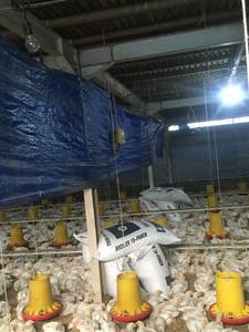 Equipo Avícola, Comedero para Pollos y Patos, Material para Barriles, Bebedero, Fregadero para Jaulas y Cría al Aire Libre - Product Image 6