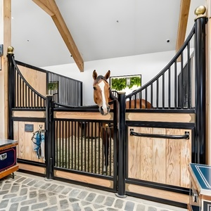 Box de Luxe Personnalisé pour Chevaux – Écurie Modulaire avec Barres en Acier pour Ferme, Centre Équestre – Facile à Nettoyer - Product Image 6