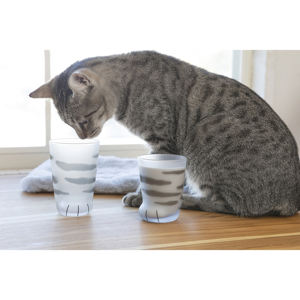 Vaso de botella de vidrio irrompible de marca con fondo de cristal de pata de gato con una caja transparente - Product Image 1