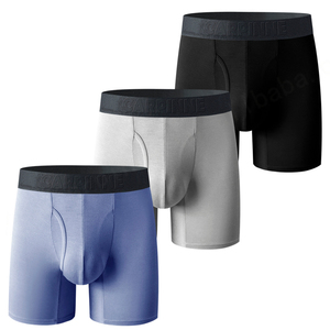 Private Label Bamboo <b>Boxer</b> Briefs Man Long Leg <b>Custom</b> Logo Men Bamboo Fiber Underwear <b>Boxer</b> Homme with Fly Pouch - Product Image 1