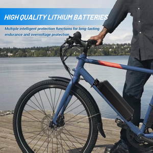 Reention-Dorado Pro <span class=keywords><strong>Plus</strong></span> Max 48V Batterie Lithium Ion Akku 10.5Ah 14Ah 17.5Ah 21Ah pour vélo électrique <span class=keywords><strong>Moscow</strong></span> Milano - Product Image 4