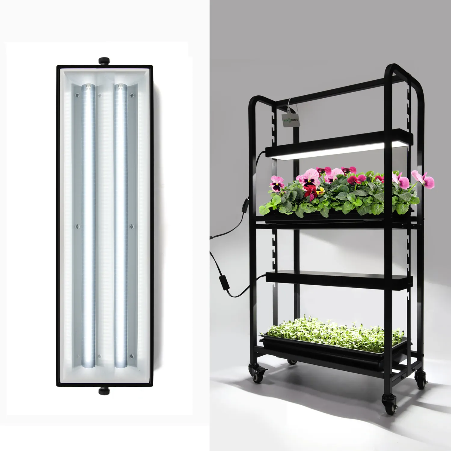 Preis Vertical Grow Rack Kit Turm Blumen salat Erdbeer-Wachstums licht für den Hobby-Anbau zu Hause