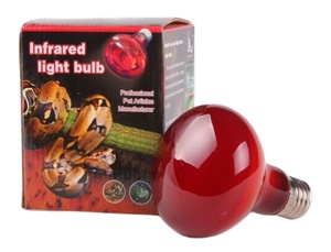 Bombilla <span class=keywords><strong>de</strong></span> reptil 25W-150W bombilla Led infrarroja <span class=keywords><strong>de</strong></span> vidrio, lámpara <span class=keywords><strong>de</strong></span> luz anfibia larga <span class=keywords><strong>vida</strong></span> - Product Image 4