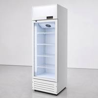 Congelador Vertical Comercial de 300L con Puerta de Vidrio, Enfriamiento por Aire Forzado y Ahorro de Energía