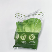 Sacs en plastique personnalisés en CPP de qualité alimentaire, imprimés en héliogravure, avec trous de ventilation et fermeture autocollante pour l'emballage de fruits et légumes en gros