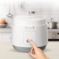 Cuiseur à riz à micro-ondes portable personnalisable avec doublure en acier inoxydable palette d'appareils de cuisine électroniques multifonctions