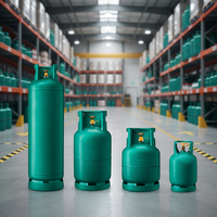 Bouteille de GPL universelle en acier légère, anti-explosion, pour usage domestique et commercial, capacité 24L, pression 34 bars, stable à long terme