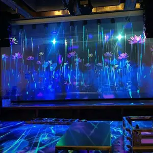 Seeball 3m5m Width Mesh Gauze 3d Holographic Screen Spliceable 360 Degree Screen For The Holographic Immersive Digital Art