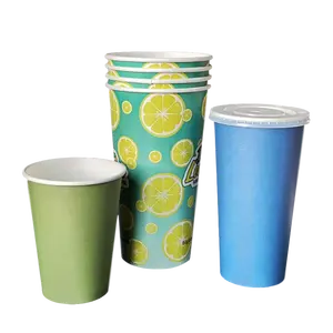 厂家直销eco cup防漏咖啡专用火鸡纸杯和盘子