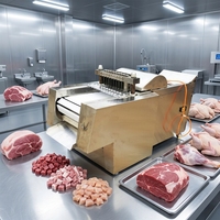 Nouvelle machine industrielle à bas prix pour couper en dés les poissons et la viande congelée, avec acier inoxydable 304, pour les bandes de viande et la volaille