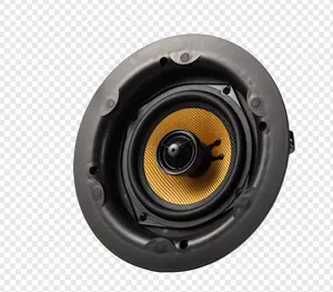 Pemasok pabrik Speaker langit-langit HI-FI 25W seri impedansi 5 inci untuk teater Rumah