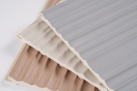 Panneaux muraux et de plafond en WPC de haute qualité