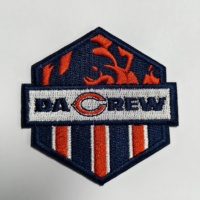 ZT-E-0046 Patchs brodés personnalisés en fer à repasser, grand aigle indien, ensembles cadeaux, patch brodé en relief 3D pour motard
