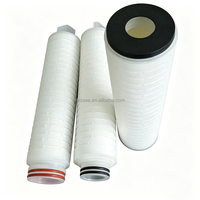 Cartouche filtrante plissée en PP de 10 pouces, fabricant DOE, 0,2 micron, pour filtration d'eau industrielle