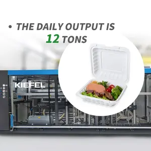 Material escolar e escritório, novo design de plástico descartável para ir caixa de almoço recipiente de comida 803 compartimento