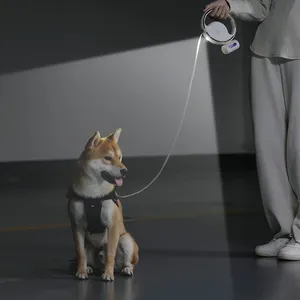 Dpzmaker — laisse pour chien, étiquette privée, de haute qualité, LED solide, rétractable, avec porte-sac à poope