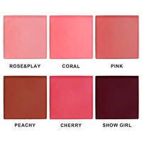 Palette de fard à joues crème végétalienne personnalisée, longue tenue, couleur mate, haute pigmentation, sans cruauté, marque privée, vente en gros