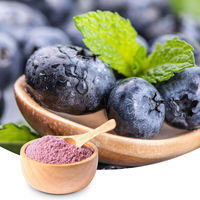 Poudre d'extrait de fruits de myrtille séchés 100 % naturelle de qualité alimentaire en vrac, en bouteille ou en récipient en verre