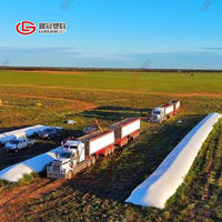 Film de couverture d'ensilage de PE noir et blanc de bonne qualité de 6 mil pour le stockage d'agriculture