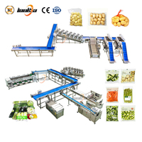 Machine de lavage de patates douces pour un nettoyage en profondeur du sol, machine de découpe et d'emballage de pommes de terre, ligne de nettoyage et de calibrage de pommes de terre