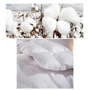 Couette en duvet moderne Couette en plumes Nouvelle mode originale 100% Couette en duvet King Size Couette d'hiver Couette moderne Couette en duvet - Product Image 5