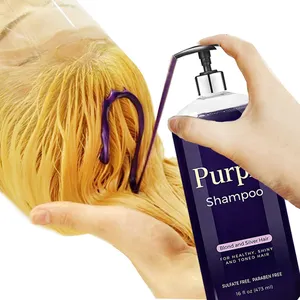 Anti- Brassy Purple Blue Hair Shampoo Private Label Purple Toning Shampoo For Blonde And Silver Hair Fading Treatment