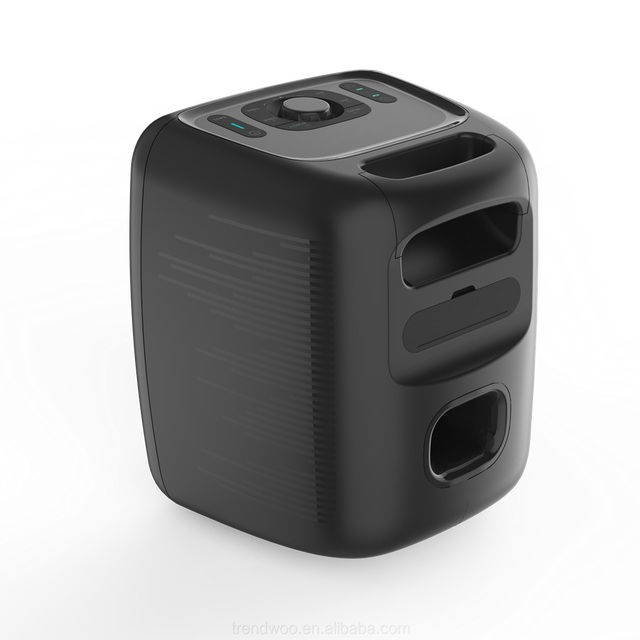 Karaoke Speaker Bass 80w Portable Party Speaker With Mic Outdoor Karaoke Speaker With Led Light
