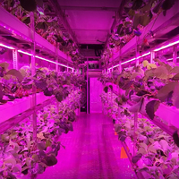 Maison préfabriquée en conteneur maritime, ferme en conteneur maritime, ferme verticale de fraises, système de culture hydroponique, ferme intelligente