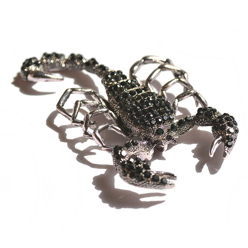 Spilla A Forma Di Scorpione In Acciaio Inossidabile - Accessorio Originale Uomo E Donna In Scatola Regalo - 5