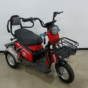 Modelo Buding, Bicicleta Eléctrica de Pasajeros de 600 W y 48 V, Triciclo de 3 Ruedas con Carrocería Abierta, Venta Directa de Fábrica al Por Mayor, Mejor Precio - Product Image 5