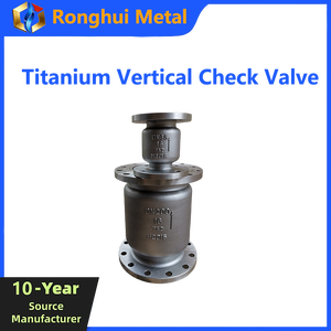 Válvula de Retención Vertical de Titanio, Resistente a la Corrosión, Tipo Elevador con Resorte, Anti-Reflujo para Reactores Químicos y Tuberías Offshore - Product Image 1