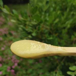 Cire d'abeille et <span class=keywords><strong>gelée</strong></span> <span class=keywords><strong>royale</strong></span> en vrac 6kg, <span class=keywords><strong>gelée</strong></span> <span class=keywords><strong>royale</strong></span> aux fleurs mélangées, lait d'abeille, <span class=keywords><strong>gelée</strong></span> <span class=keywords><strong>royale</strong></span> aux fleurs mélangées à l'acide hyaluronique en gros, <span class=keywords><strong>gelée</strong></span> <span class=keywords><strong>royale</strong></span> en bouteille - Product Image 3