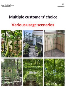 Enrejado para Uvas para Jardinería Exterior, Soporte <span class=keywords><strong>de</strong></span> Trepadores <span class=keywords><strong>de</strong></span> Tubo <span class=keywords><strong>de</strong></span> Acero Recubierto <span class=keywords><strong>de</strong></span> Plástico, Marco <span class=keywords><strong>de</strong></span> Soporte para Uvas y Frutas Tropicales - Product Image 4
