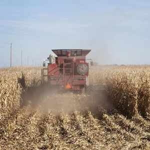 Lúa Mì gặt đập để bán kết hợp gặt đập lúa - Product Image 2