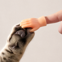 Gant de massage pour chat en plastique, pour le toilettage et le jeu apaisant des chatons de 0 à 3 mois, vente en gros