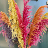 Yunnan flauschig groß natürlich trocken pampasblume groß groß pampas gras feder konserviert groß langer schilf pampas