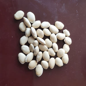ขายส่งสีขาวผักตบชวาถั่ว YAO BIAN DOU แห้งสีขาว Lablab ถั่ว - Product Image 3