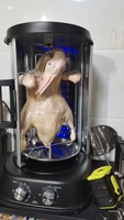 Grill vertical rotatif sans fumée pour shawarma, canard rôti, poulet, équipement de cuisson commercial et domestique, machine à brochettes en acier inoxydable