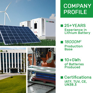 Lishen một 18ah 2.3V 2Ah 1.5V 28ah Titan BATTERIE trường hợp lto Pin modul - Product Image 6