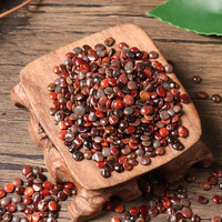 Zhi ju zi Herbe chinoise naturelle Hovenia dulcis Graine d'arbre à raisin Fruit de graines de baies d'arbre à raisin japonais